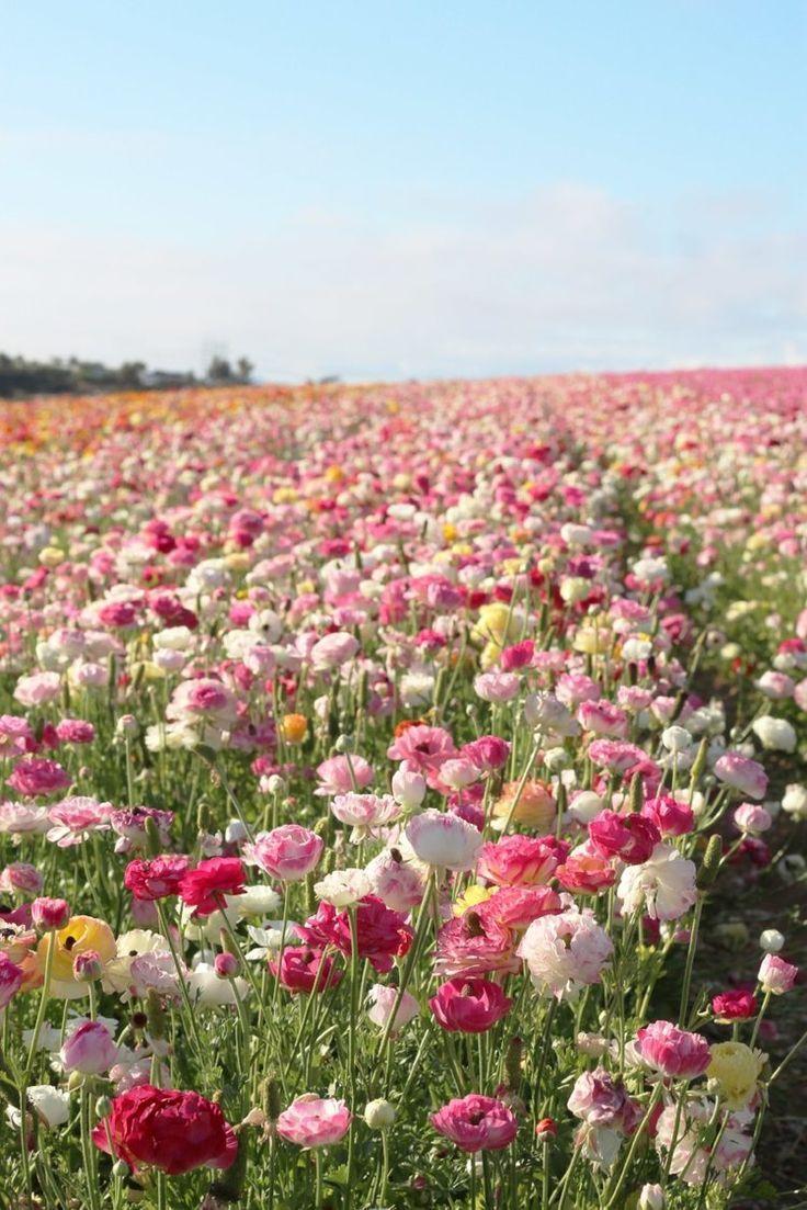 Breeze of Serenity Pastel Blossom Bunch